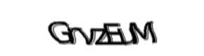 Security check image, please type the characters shown