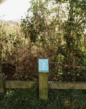 A section of the Sawmill trail in Waimapihi Reserve overlooking the Wellington Harbour.