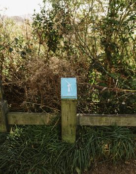 A section of the Sawmill trail in Waimapihi Reserve overlooking the Wellington Harbour.