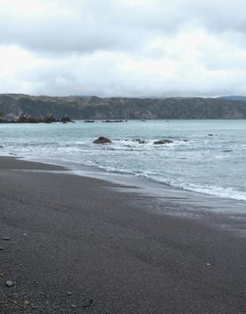 This clothing-optional beach is a good spot for scenic walks and wildlife spotting. At the western entrance of Wellington Harbour, picturesque Breaker Bay beach is part of the Oruaiti Reserve.