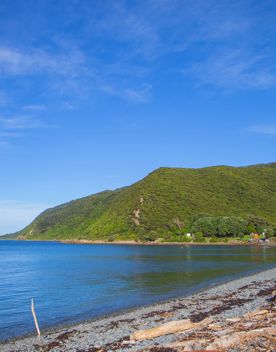 The Beach Landing to Sheltertrack on Kapiti Island. The boat from Kāpiti Coast arrives onto the rocky shore.