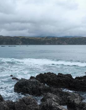 This clothing-optional beach is a good spot for scenic walks and wildlife spotting. At the western entrance of Wellington Harbour, picturesque Breaker Bay beach is part of the Oruaiti Reserve.