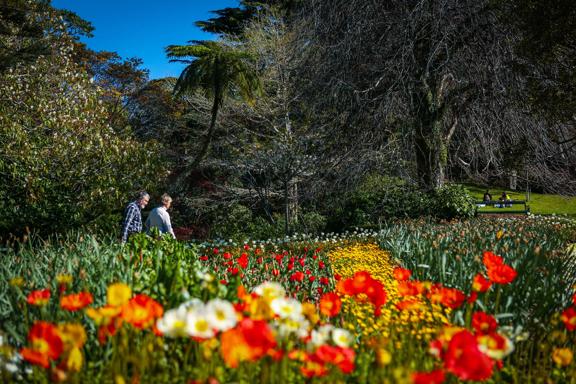 Looking through a flower garden as two people walk along a path in the Botanic Gardens.