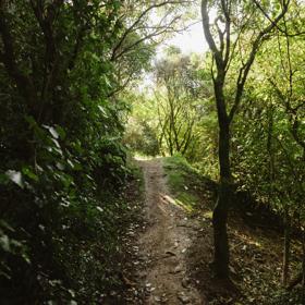 The Jail Brake track at Centennial Reserve in Miramar.