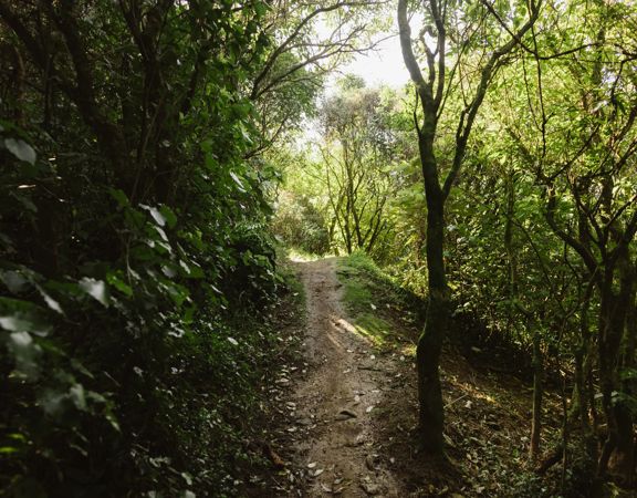 The Jail Brake track at Centennial Reserve in Miramar.
