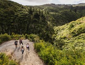 4 people walking up the track of the  Belmont Trig Track, a biking and walking trail in Lower Hutt.
