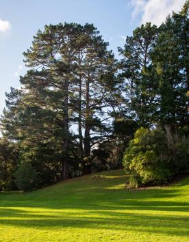 A well-equipped and popular outdoor space for families in Upper Hutt. On the edge of Te Awa Kairangi, Hutt River, Harcourt Park in Upper Hutt is a 40-minute drive north of Wellington.