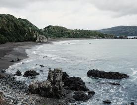 This clothing-optional beach is a good spot for scenic walks and wildlife spotting. At the western entrance of Wellington Harbour, picturesque Breaker Bay beach is part of the Oruaiti Reserve.