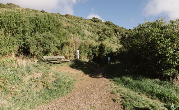 A section of the Transient trail in Waimapihi Reserve. The dirt trail goes around burms, onto wooden platforms, and has great views of the city.