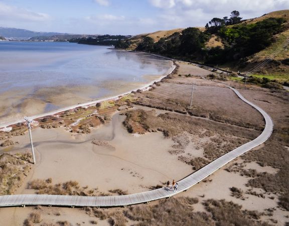 Te Ara Piko wraps around the Pāuatahanui Inlet and connects up with Pāuatahinui Wildlife Reserve and Camborne Walkway.