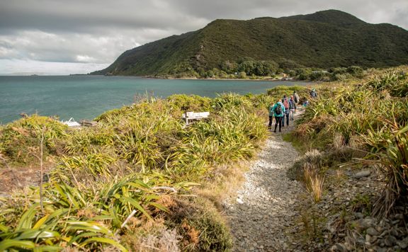 A tour group walks along the Beach Landing to Shelter track on Kapiti Island amongst flax, with the island in the background