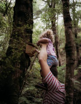 A person lifts a child up over their head to reach a Fairy House on a tree trunk In Horoeka Scenic Reserve.