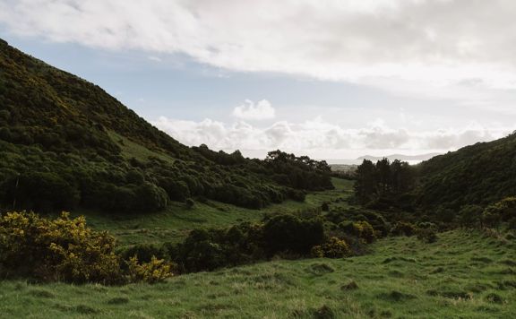The Catchment View Track in Whareroa Farm, a grassy hill that climbs above the farm with views of the Kāpiti Coast.