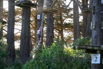 Looking through the trees at Adrenalin Forest as a person climbs a rope net up into trees.