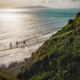 3 people walking along a swing bridge between 2 hillsides on the Escarpment track above the Kāpiti coast.