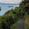 Section of trail looking back towards Wellington harbour and Matiu/Somes Island.