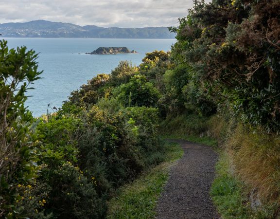 Section of trail looking back towards Wellington harbour and Matiu/Somes Island.
