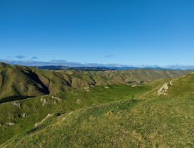 A short drive from the city is a stunning venue. Perched on a rugged coastline, it has sweeping views over the Cook Strait and the South Island.