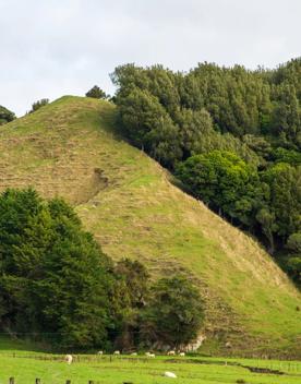 The screen location of Waitohu Valley Ōtaki, features native and exotic forests, pastoral lands, and wetlands.