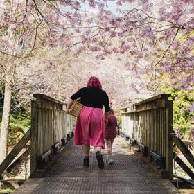 Parent and child cross a bridge at Blossom Valley with a picnic basket in hand and flowering cherry blossom trees over them.