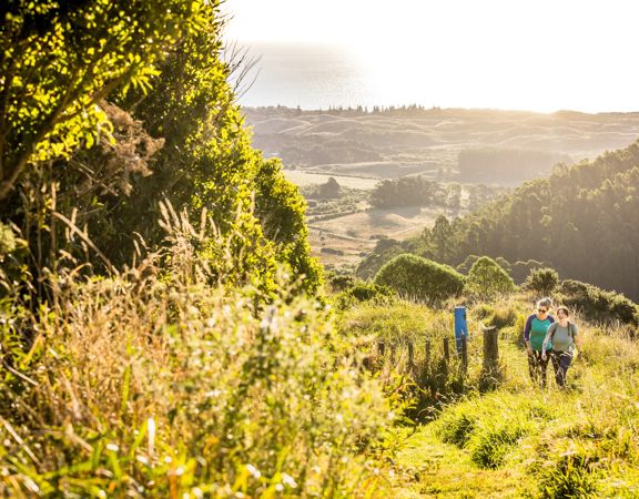 Two people hiking in a field.