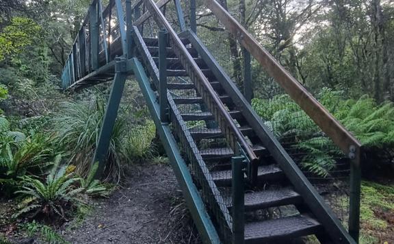 Steps leading up to one of the bridge crossings on Donnelly Flat Loop Walk.