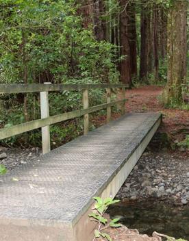 The Kiriwhakapapa Road Tararua Forest Park screen location, featuring walking trails and campsite opportunities in wild, natural landscapes.