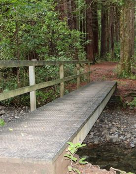 The Kiriwhakapapa Road Tararua Forest Park screen location, featuring walking trails and campsite opportunities in wild, natural landscapes.
