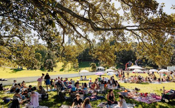 Large field with lots of people having picnics under umbrellas