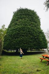 A person frolics in front of the Tawa Bucket Tree.