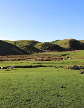 A rural setting with panoramic seascapes, Pikarere Farm is an iconic sheep and beef station overlooking Tītahi Bay in Porirua, New Zealand.