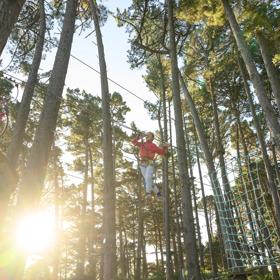 Looking up into the trees at Adrenalin Forest as a child balances across a wire between two tress.