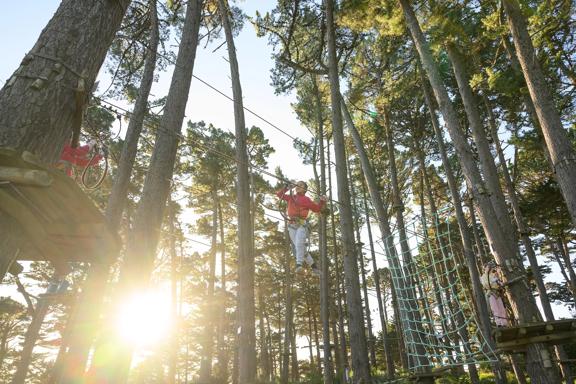 Looking up into the trees at Adrenalin Forest as a child balances across a wire between two tress.