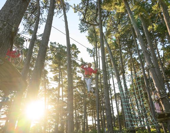 Looking up into the trees at Adrenalin Forest as a child balances across a wire between two tress.