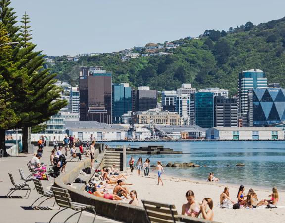 People enjoying the sun on Oriental Parade, with the sun shining and Wellington city behind them.