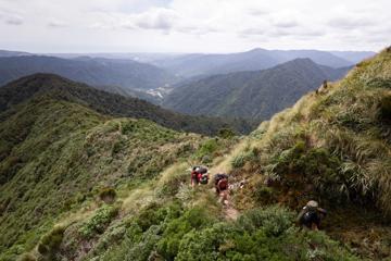 Four hikers walk up the Kime Hut Walk in the Tararua Forest Park.