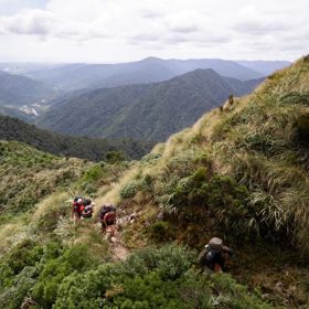 Four hikers walk up the Kime Hut Walk in the Tararua Forest Park.