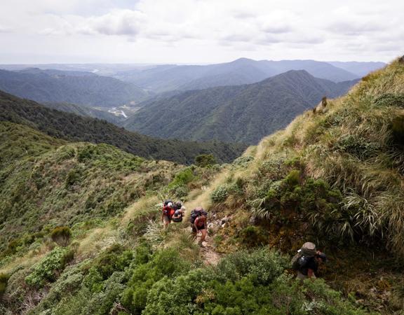 Four hikers walk up the Kime Hut Walk in the Tararua Forest Park.