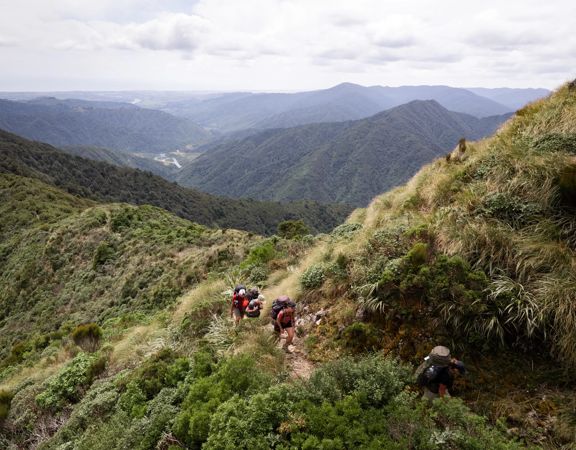 Four hikers walk up the Kime Hut Walk in the Tararua Forest Park.