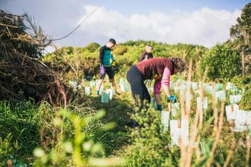 Three people work in a garden.