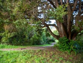 Camp Wainuiomata screen location. Has several buildings and is surrounded by forest and bush.