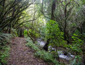 Camp Wainuiomata screen location. Has several buildings and is surrounded by forest and bush.