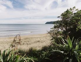 A view of the beach from the Ara Harakeke Path that runs between Paremata and Pukerua Bay.