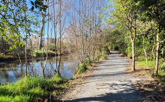 Section of trail right next to the Waikanae River.