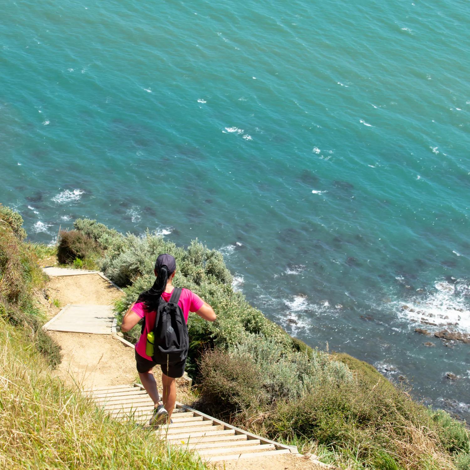 Person walking down the steps on the Escarpment Track.