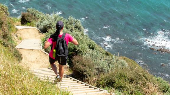 Person walking down the steps on the Escarpment Track.