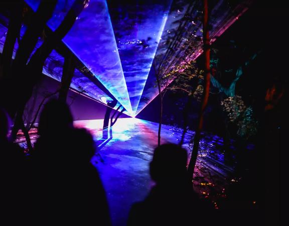A starburst of purple, pink, white and teal coloured light pierces through the darkness at Light Cycles by Moment Factory, an immersive light show at Wellington Botanic Garden.