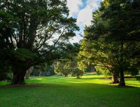 A well-equipped and popular outdoor space for families in Upper Hutt. On the edge of Te Awa Kairangi, Hutt River, Harcourt Park in Upper Hutt is a 40-minute drive north of Wellington.