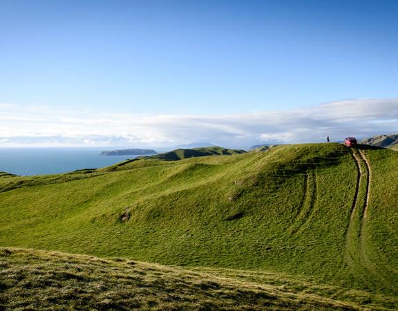 A short drive from the city is a stunning venue. Perched on a rugged coastline, it has sweeping views over the Cook Strait and the South Island.