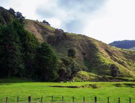 The screen location of Waitohu Valley Ōtaki, features native and exotic forests, pastoral lands, and wetlands.